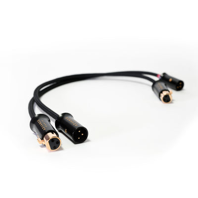 LINK XLR